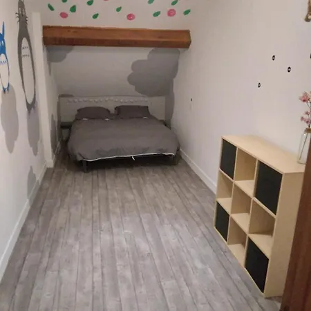 Room In Bb - At Ten Minutes From The Raviege Lake Angles (Midi-Pyrenees)