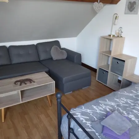 Room In Bb - At Ten Minutes From The Raviege Lake