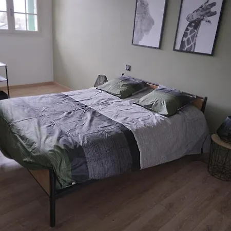 Room In Bb - At Ten Minutes From The Raviege Lake Angles (Midi-Pyrenees)